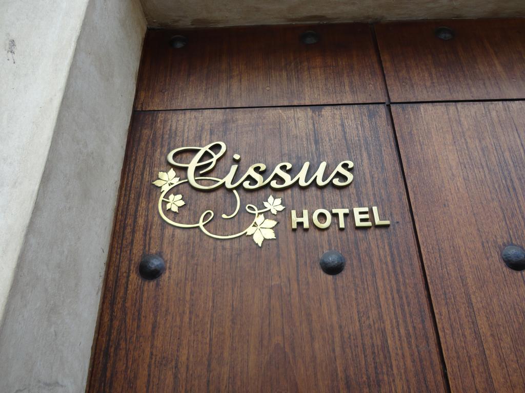 Cissus Hotel Boutique (Adults Only) Antigua Номер фото