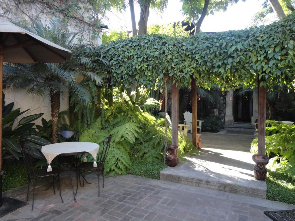 Cissus Hotel Boutique (Adults Only) Antigua Екстер'єр фото