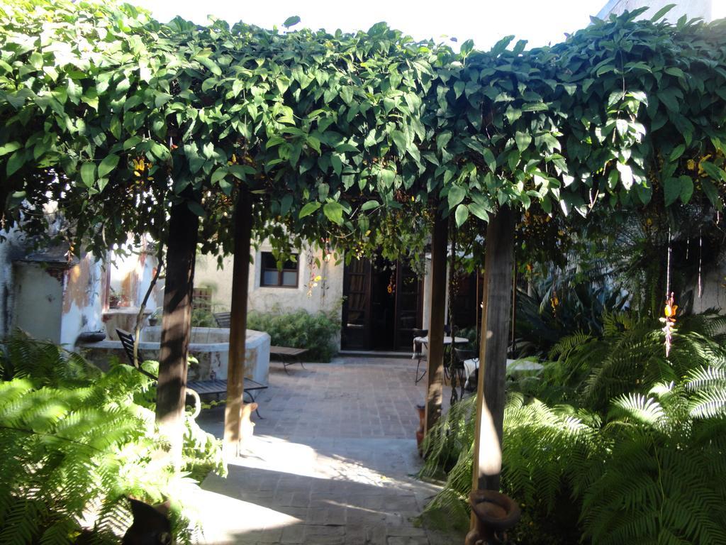 Cissus Hotel Boutique (Adults Only) Antigua Екстер'єр фото