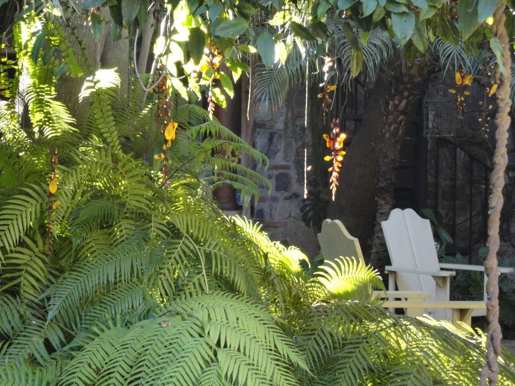 Cissus Hotel Boutique (Adults Only) Antigua Екстер'єр фото