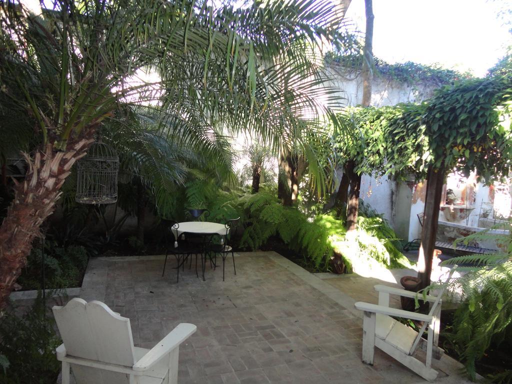 Cissus Hotel Boutique (Adults Only) Antigua Екстер'єр фото