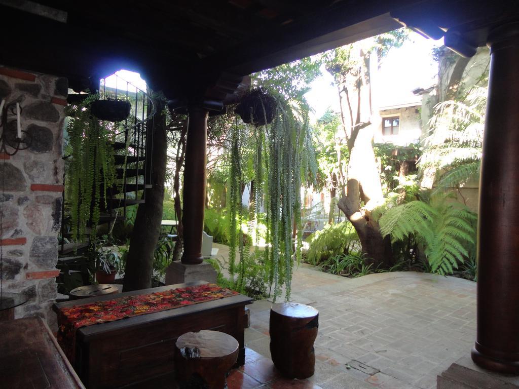Cissus Hotel Boutique (Adults Only) Antigua Екстер'єр фото