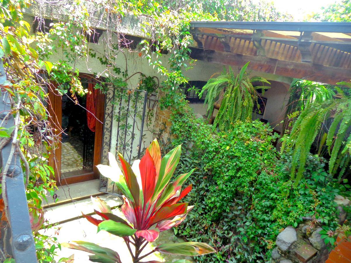 Cissus Hotel Boutique (Adults Only) Antigua Екстер'єр фото